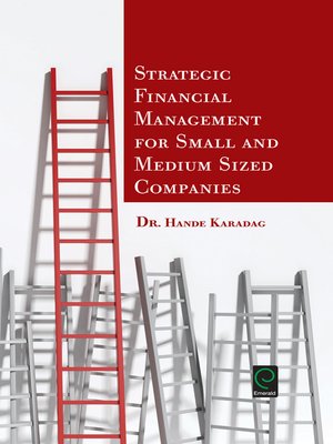 cover image of Strategic Financial Management for Small and Medium Sized Companies
